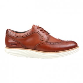 Boston WT Brown/milk Derby